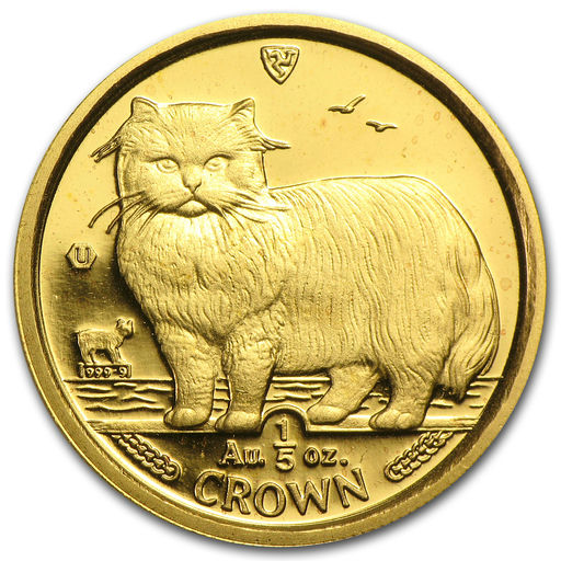 Gold Persian Cat